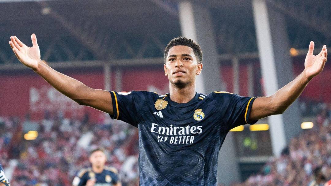 都难免引发 都难免引发