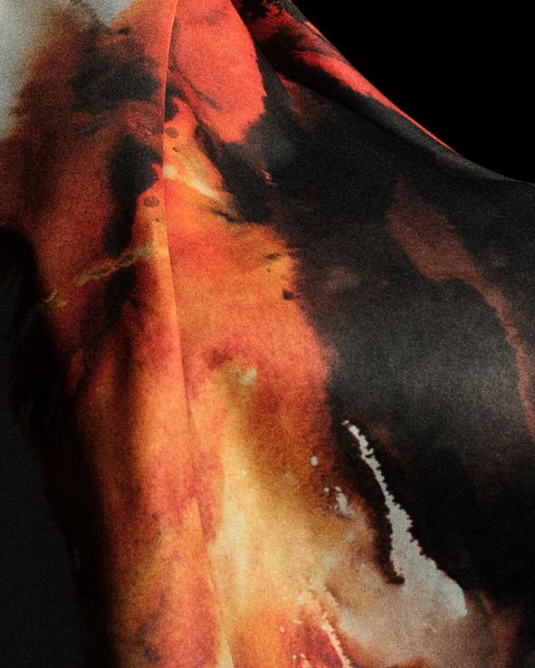 本文将深入 本文将深入