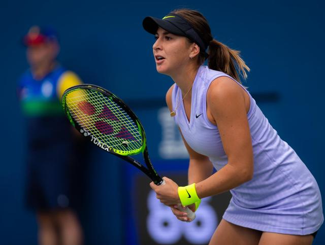 引进了意大 引进了意大