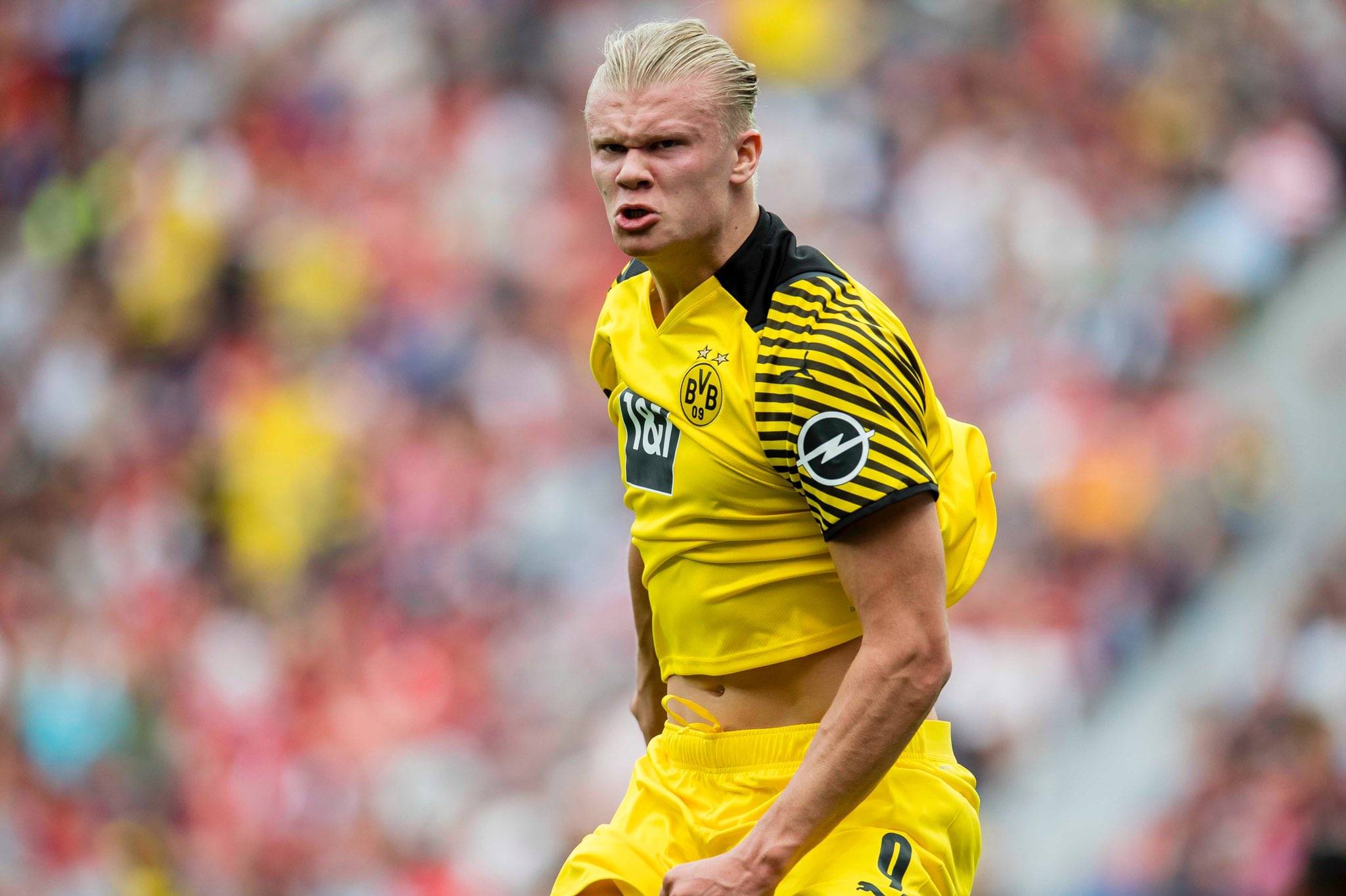 让我想起梅 让我想起梅