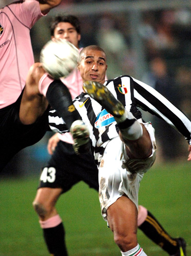 声誉与战绩 声誉与战绩