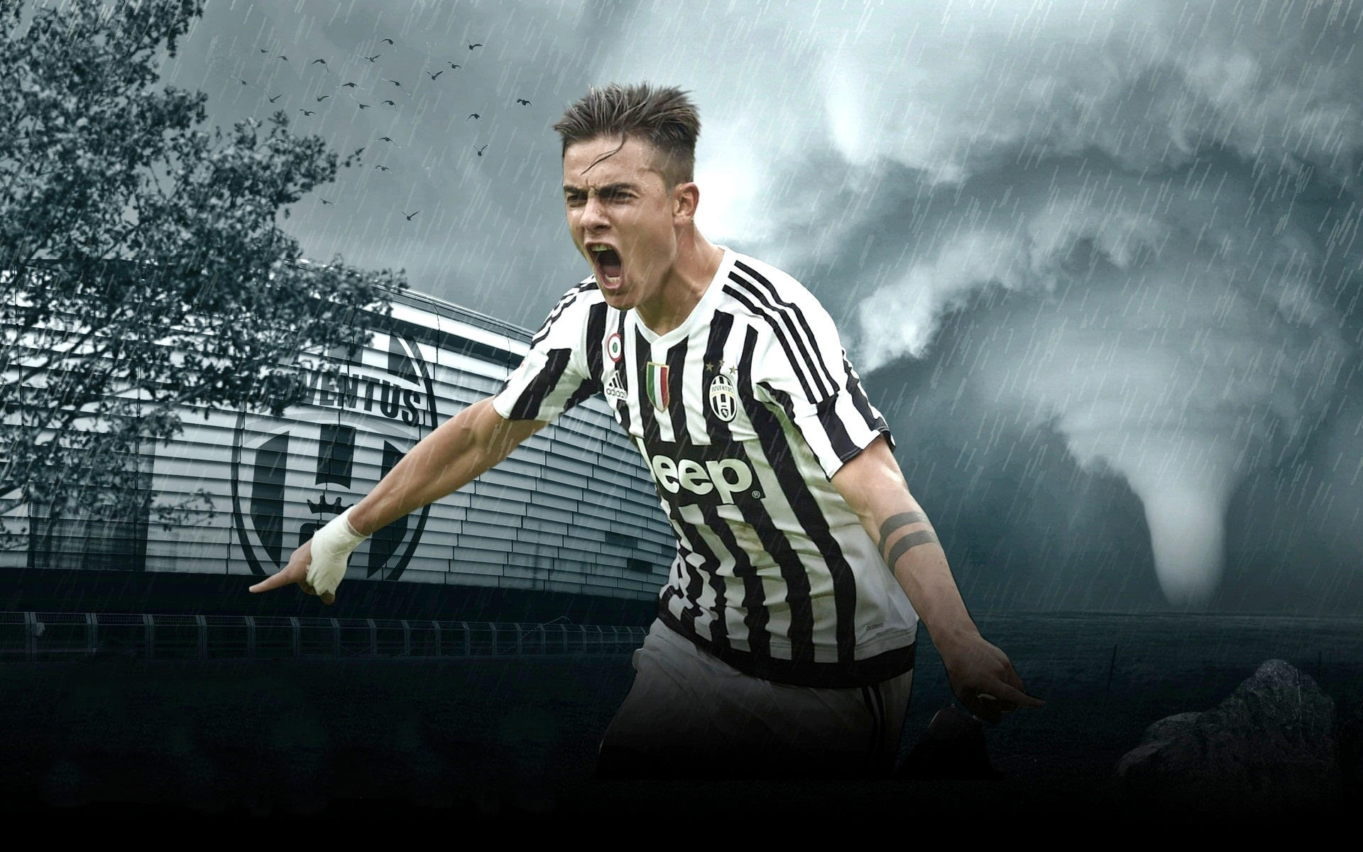 设立独立 设立独立